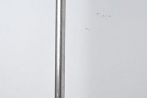 DSC7564